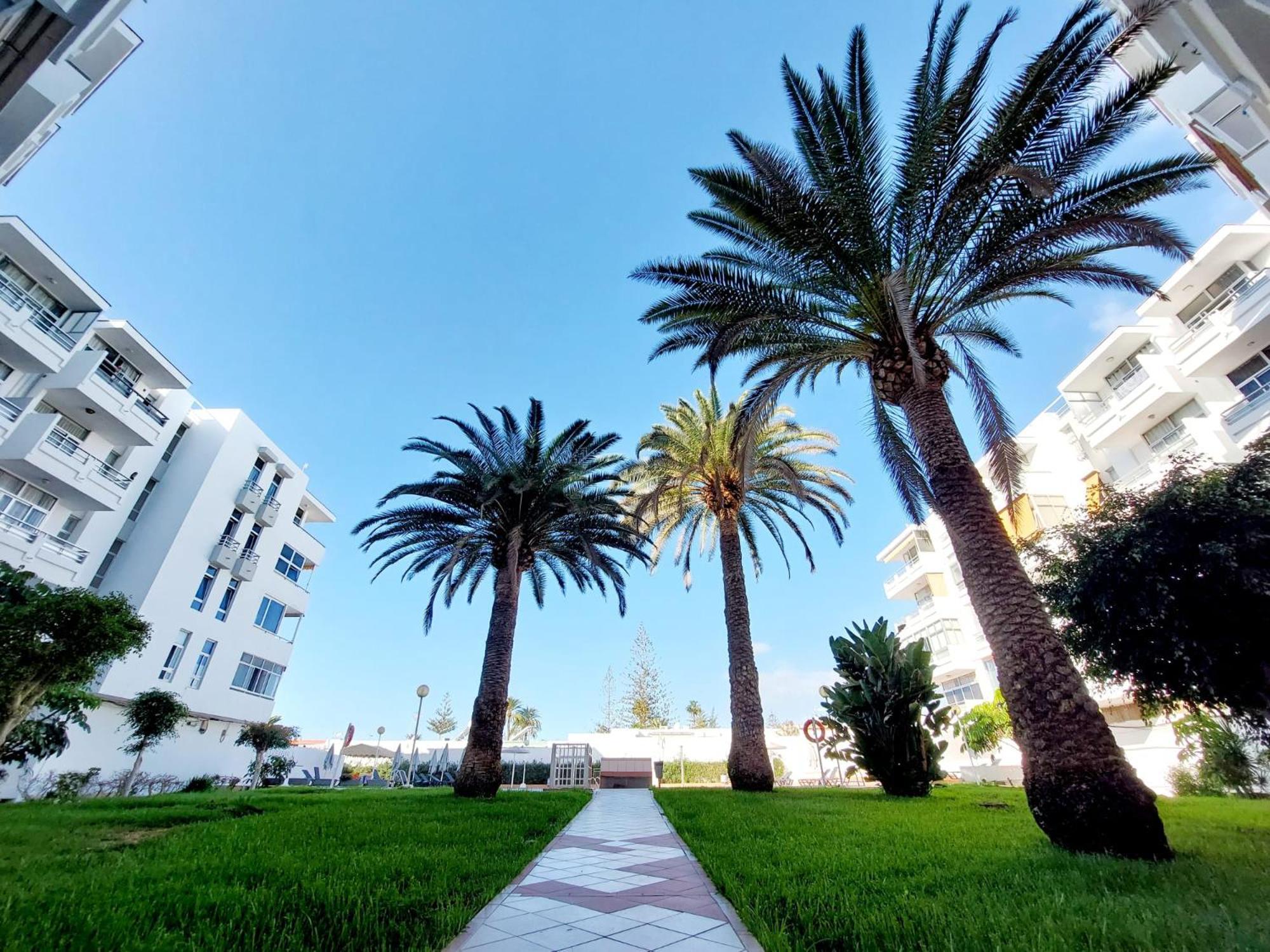 Apartamento Centrico Con Playa Y Piscina Πλάγια ντελ Ινγκλές Εξωτερικό φωτογραφία